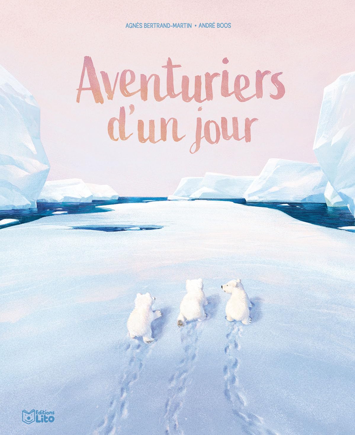 Aventuriers d'un jour