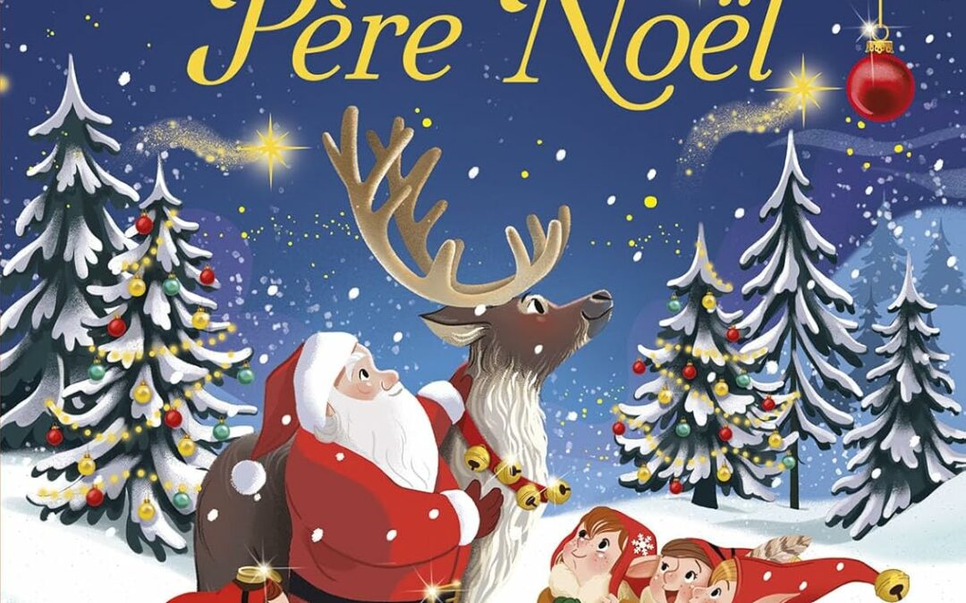 24 histoires magiques du Père Noël